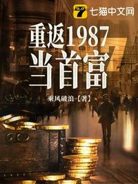 重返1987当首富